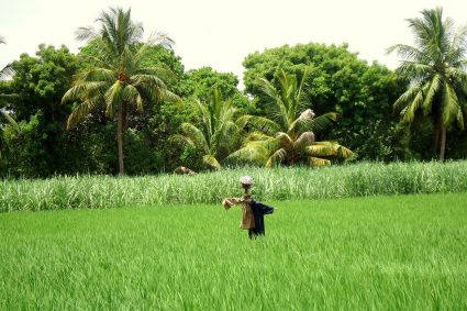 REVITALIZING INDIAN AGRICULTURE: EMPOWERING SMALLHOLDER FARMERS FOR A RESILIENT FUTURE”